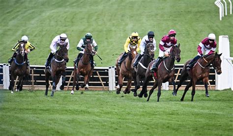 cheltenham replays|uk racing replays today.